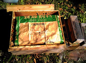 fc2_b20121114-3.jpg