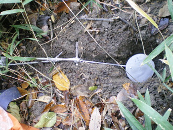 fc2_b20121127-2.jpg