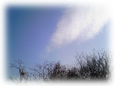 fc2_b20130109-2.jpg