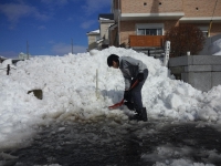 次男もおk