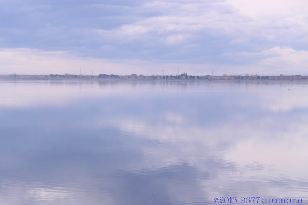 IMG_1074-1.jpg