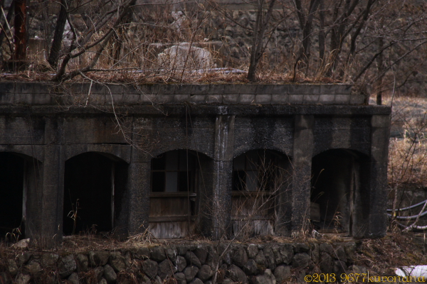 IMG_2356-1.jpg