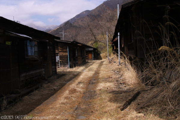 IMG_2368-1.jpg