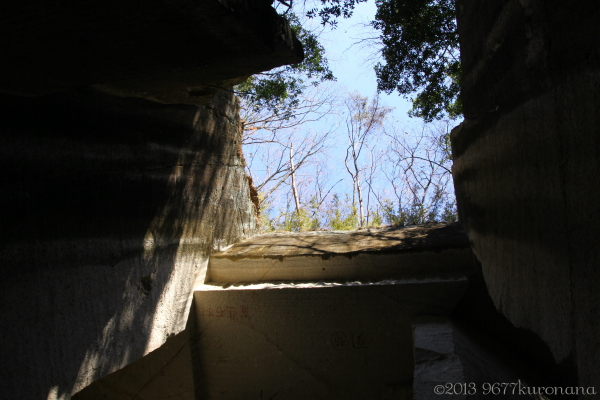 IMG_5433-1.jpg