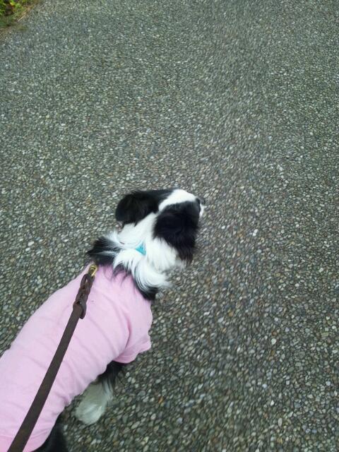 abby