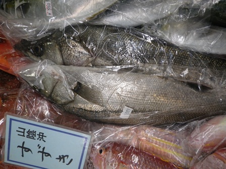 20121229sa5.jpg