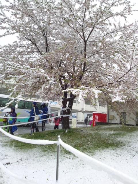 雪の北長野運動公園