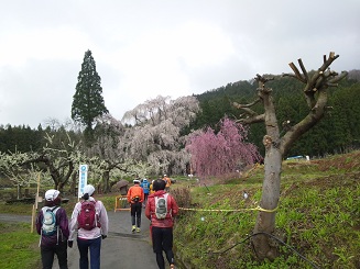 高山村