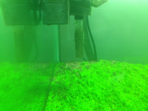 20141015092143b11.jpg