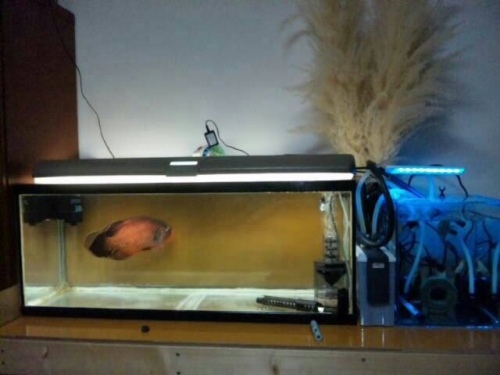 201410271547559ee.jpg