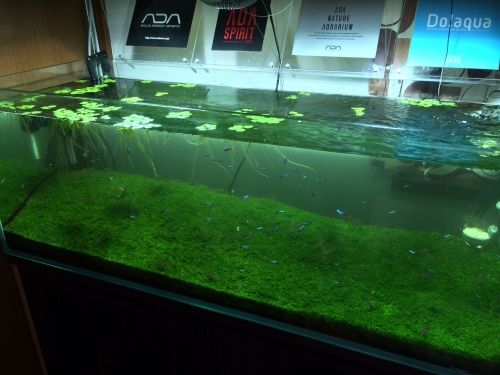 20141112131157f99.jpg