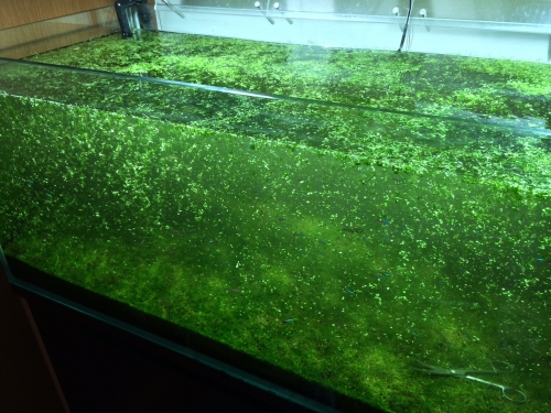 2014111213120993b.jpg