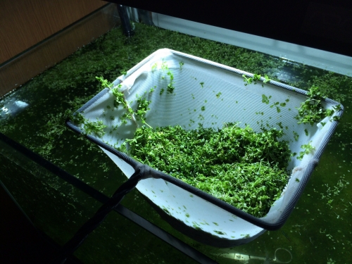 20141112131225c69.jpg
