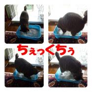 チェック中