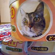 あづき缶