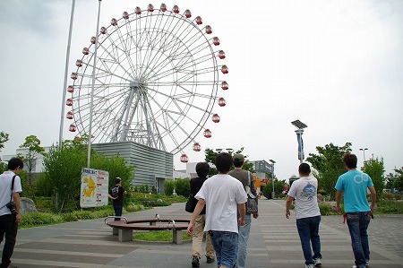 IMGP8321.jpg