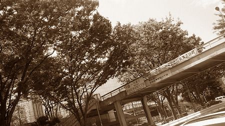 P1000593.jpg