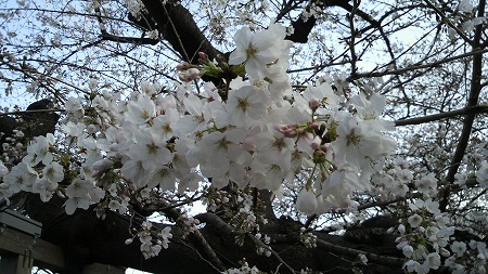P1001045.jpg