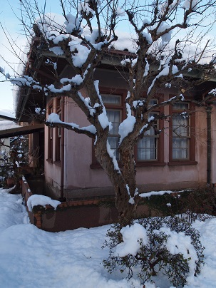 雪