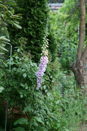 2012-05-24_40.jpg