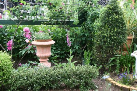 2012-05-25_49.jpg
