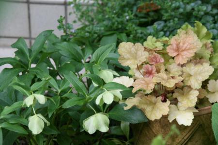 2012-06-26_04.jpg
