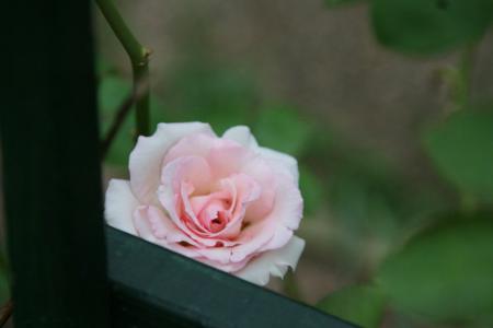 2012-08-29_31.jpg