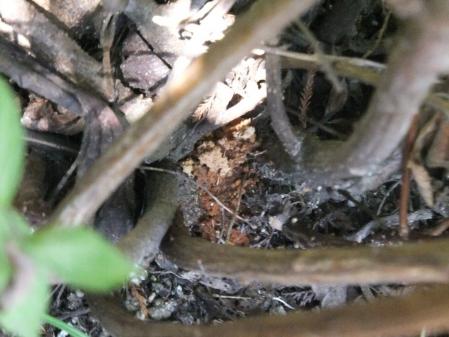 2012-09-02_11.jpg