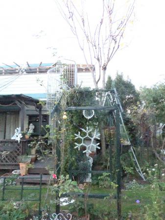 2012-11-25_33.jpg