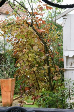2012-11-26_00.jpg
