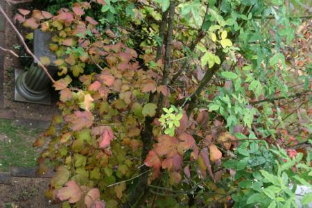 2012-11-26_24.jpg