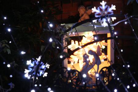 2012-12-03_63.jpg