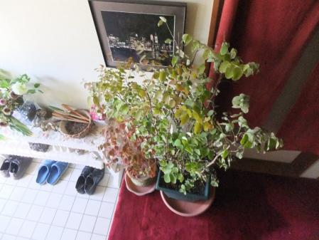 2012-12-08_13.jpg