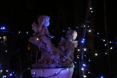 2012-12-10_19.jpg