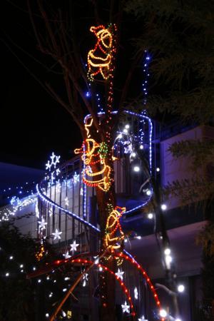 2012-12-10_68.jpg