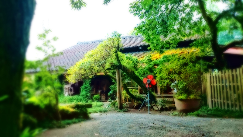 お店