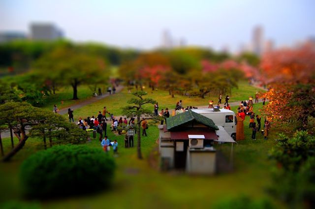 フォト