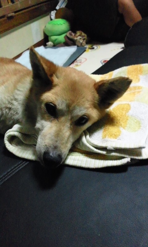 002_20120805124209.jpg