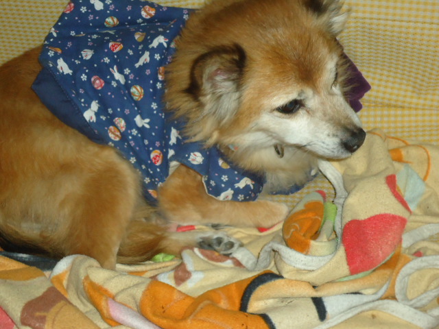 003_20130108232132.jpg