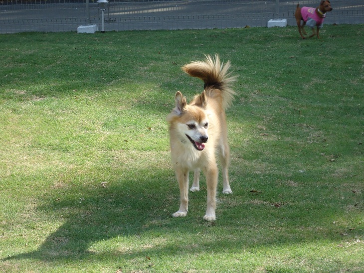 029_20121104202431.jpg