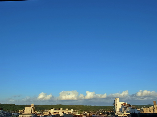 R1085699_edited-1.jpg