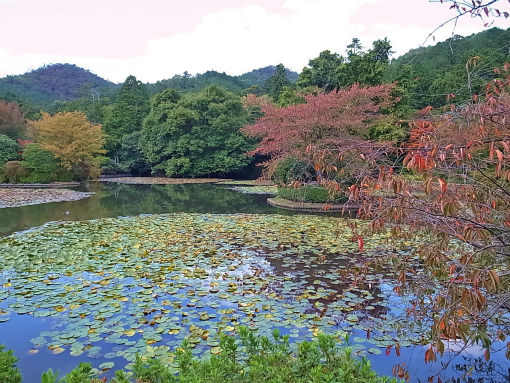 R1086191_edited-1.jpg