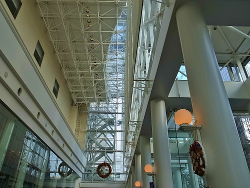 R1087029_edited-1.jpg