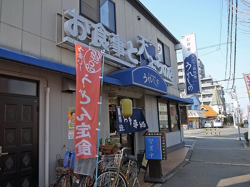 RIMG9081_edited-1.jpg