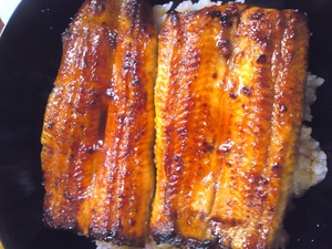 3198d0b8.jpg