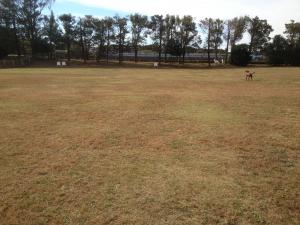 027_convert_20121116014956.jpg