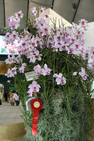 047_convert_20130218143624.jpg