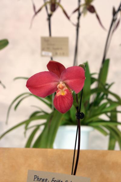 065_convert_20130217101110.jpg