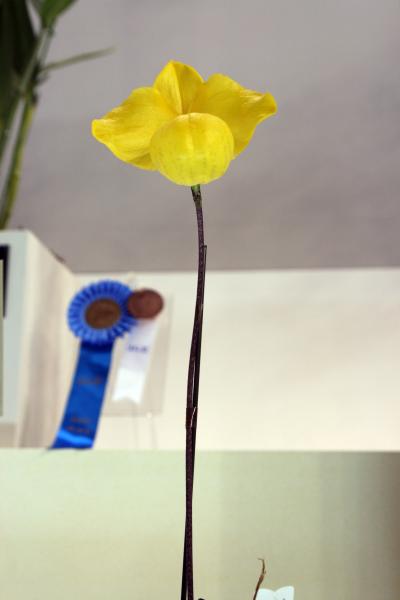 419_convert_20130218144646.jpg