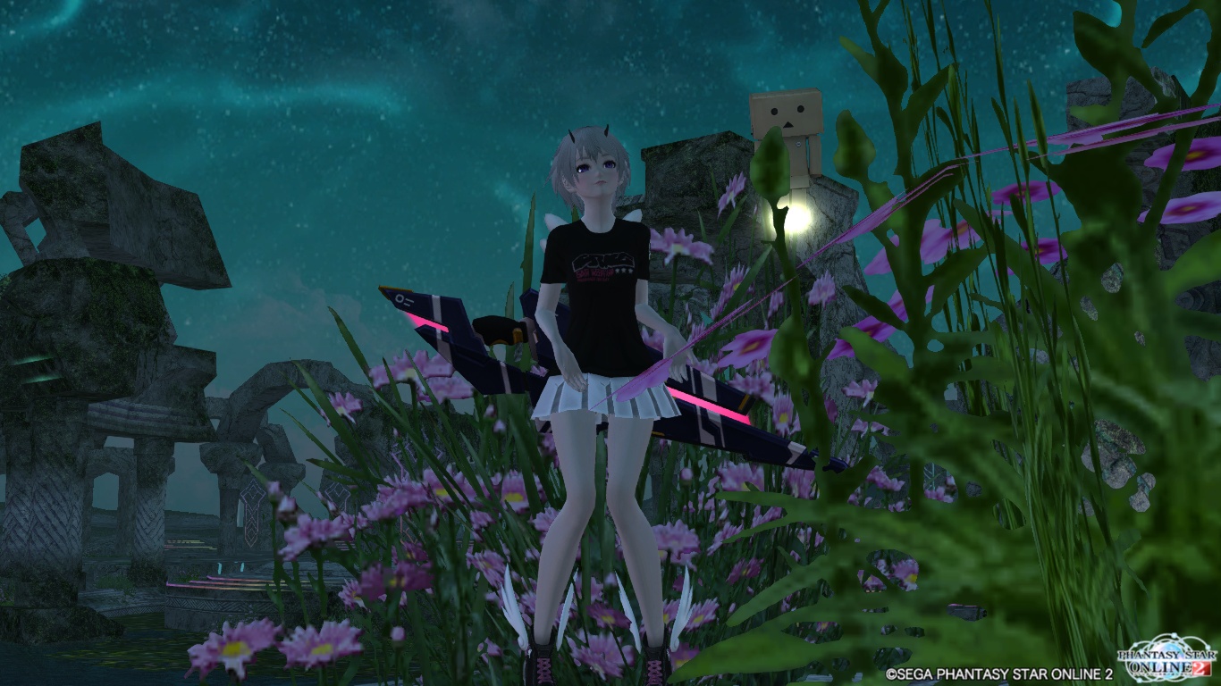 pso20141008_211606_007.jpg